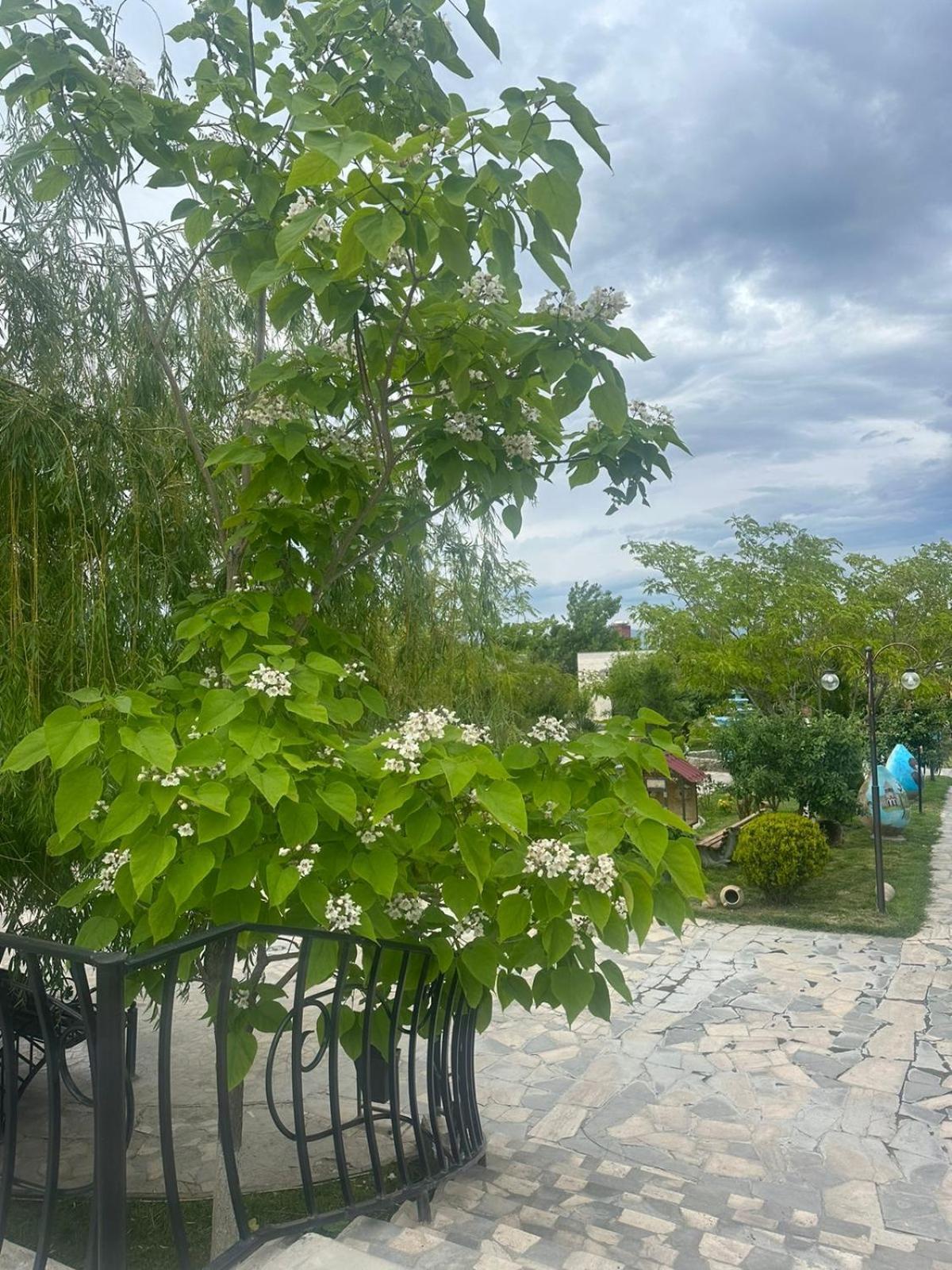 Ralina Restaurant And Hotel Davalinskiy Tsemzavod Buitenkant foto